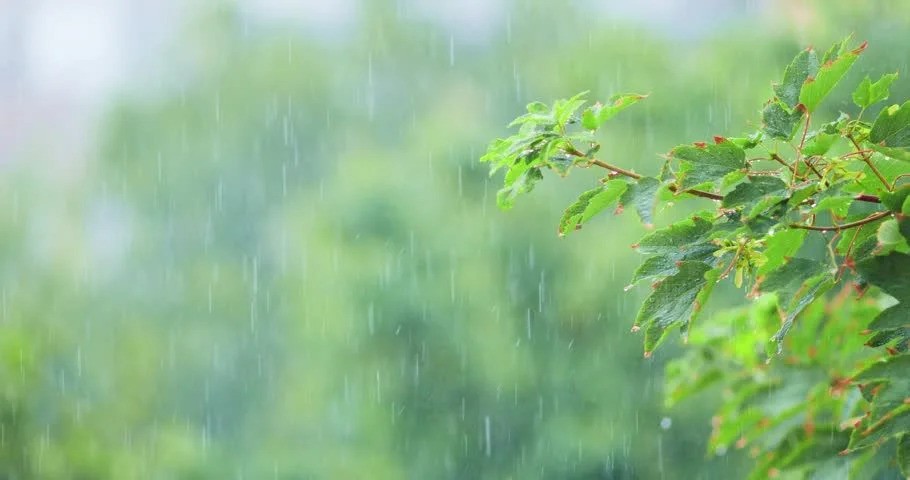 අද ප්‍රදේශ කිහිපයකට වැසි වාර කිහිපයක්