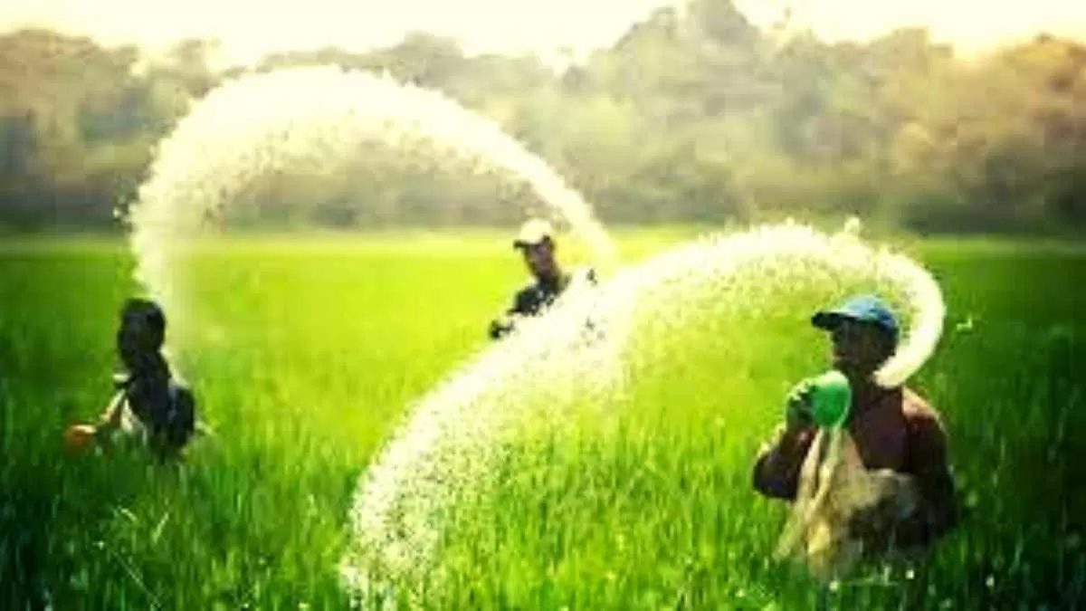 වැඩි කළ පොහොර සහනාධාරය ලැබෙන දිනය මෙන්න