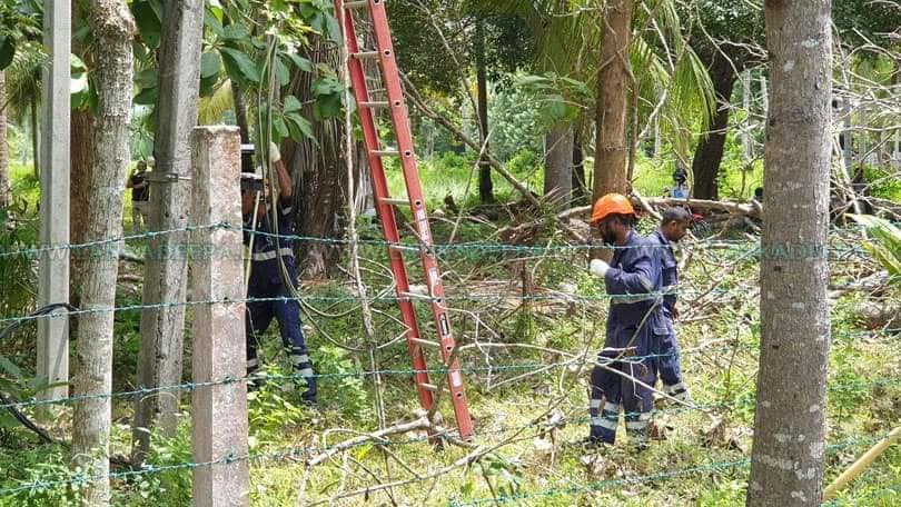 හිටපු ජනපතිට අයත් කාල්ටන් වත්තේ විදුලි රැහැන් දෙකක් ඉවත් කෙරේ