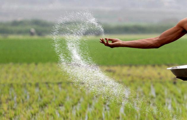 වැඩිකළ පොහොර සහනාධාරය අද සිට