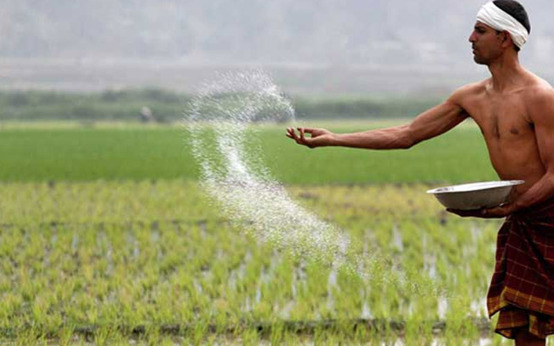 පොහොර සහනාධාරයේ දෙවැනි අදියරට තවත් රු.මිලියන 1221ක්