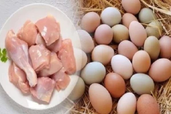 උත්සව සමයේ බිත්තර සහ කුකුළු මස් හිඟයක් නැහැ උත්සව සමයේ බිත්තර සහ කුකුළු මස් හිඟයක් නැහැ