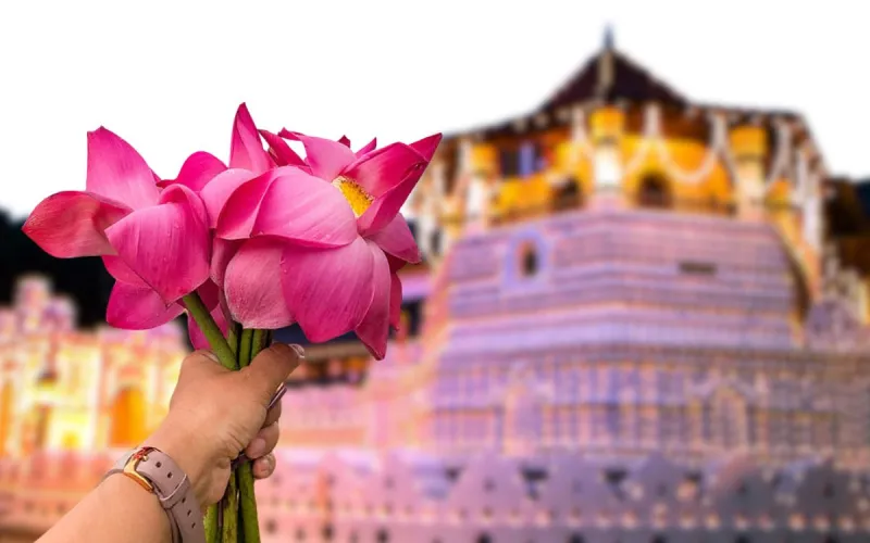 ‘සිරි දළදා වන්දනාවේ’ අවසන් දිනය අදයි