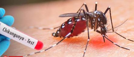 චිකන්ගුන්යා රෝගීන් ගේ වැඩි වීමක්