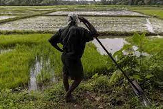 සිදු වූ වගා හානි පිළිබඳව දැනුම්දීමට දුරකථන අංකයක්