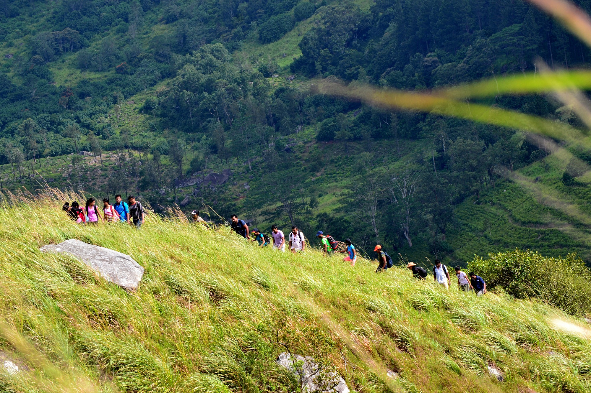 හන්තාන නැරඹීමට ගොස් අතුරුදන්වූ ළමුන් පිරිසක් මුදා ගැනේ