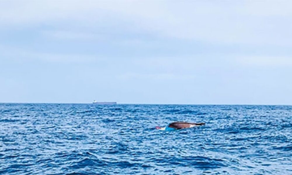 ධීවර යාත්‍රා අනතුරු සම්බන්ධයෙන් සොයා බැලීමට කමිටුවක්