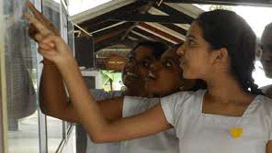 O/L විභාගයේ A සාමාර් ථ 9 ක් ගත් සිසුන් ගණන 13,392ක් O/L විභාගයේ A සාමාර් ථ 9 ක් ගත් සිසුන් ගණන 13,392ක්