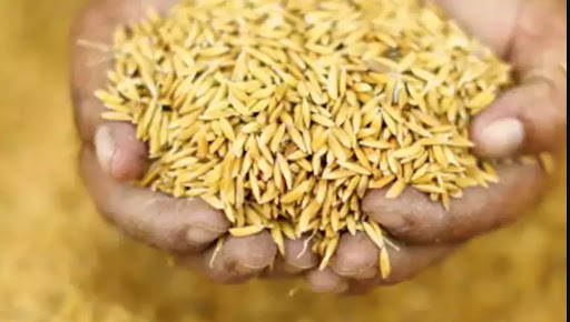 ඉතිහාසයේ පළමුවරට වී අලෙවි මණ්ඩලයෙන් තෙත වී මිලදී ගනියි ඉතිහාසයේ පළමුවරට වී අලෙවි මණ්ඩලයෙන් තෙත වී මිලදී ගනියි