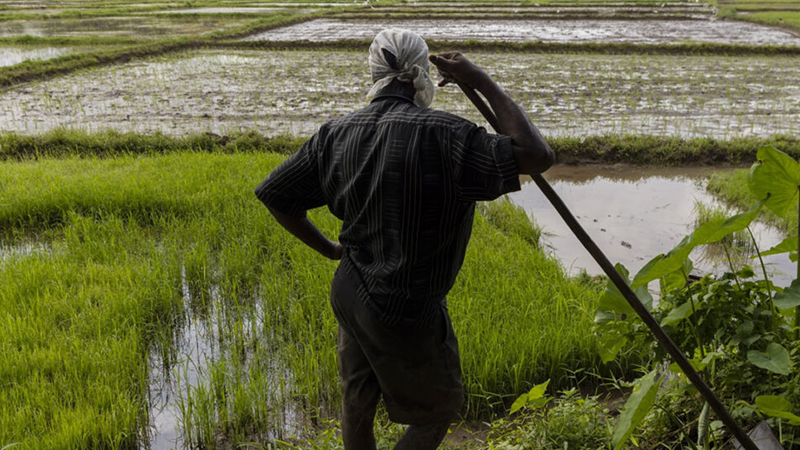 ගොවි විශ්‍රාම වැටුප් ලබාදීම ගැන නිවේදනයක්