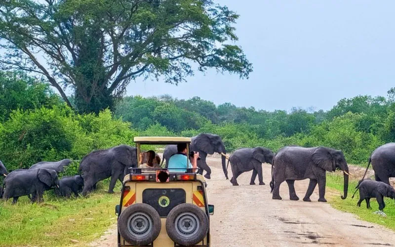 සංචාරක සංවර් ධනය සඳහා ජනාධිපති කාර් ය සාධක බලකායක්