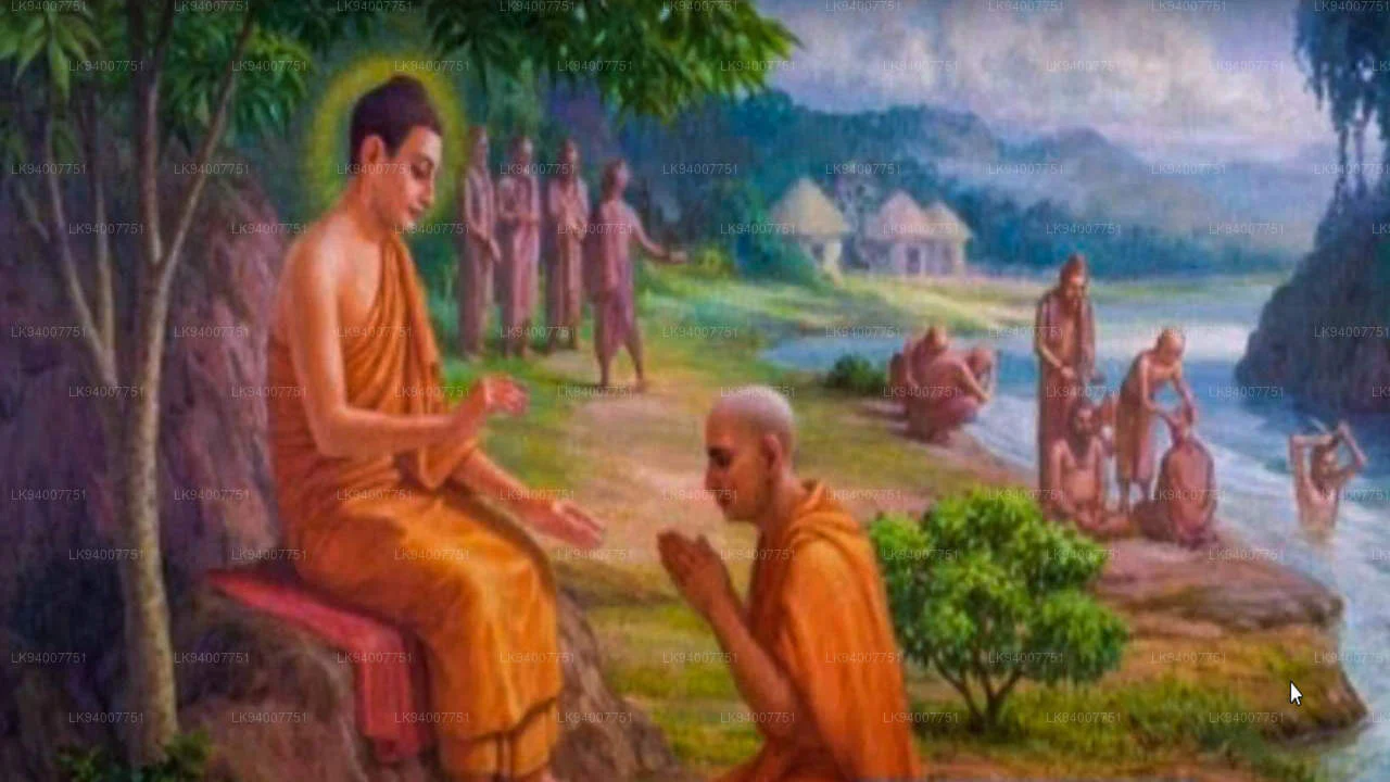 පින්බර නිකිණි පොහොය අද