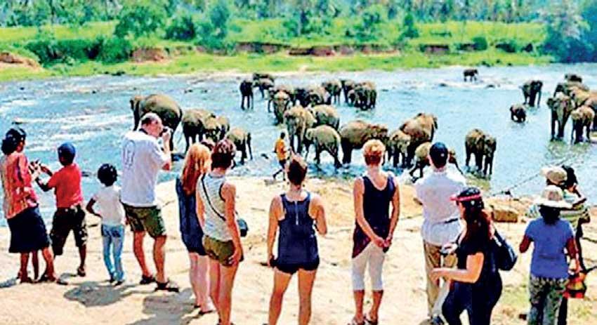 සංචාරක ආදායම ඉහළට