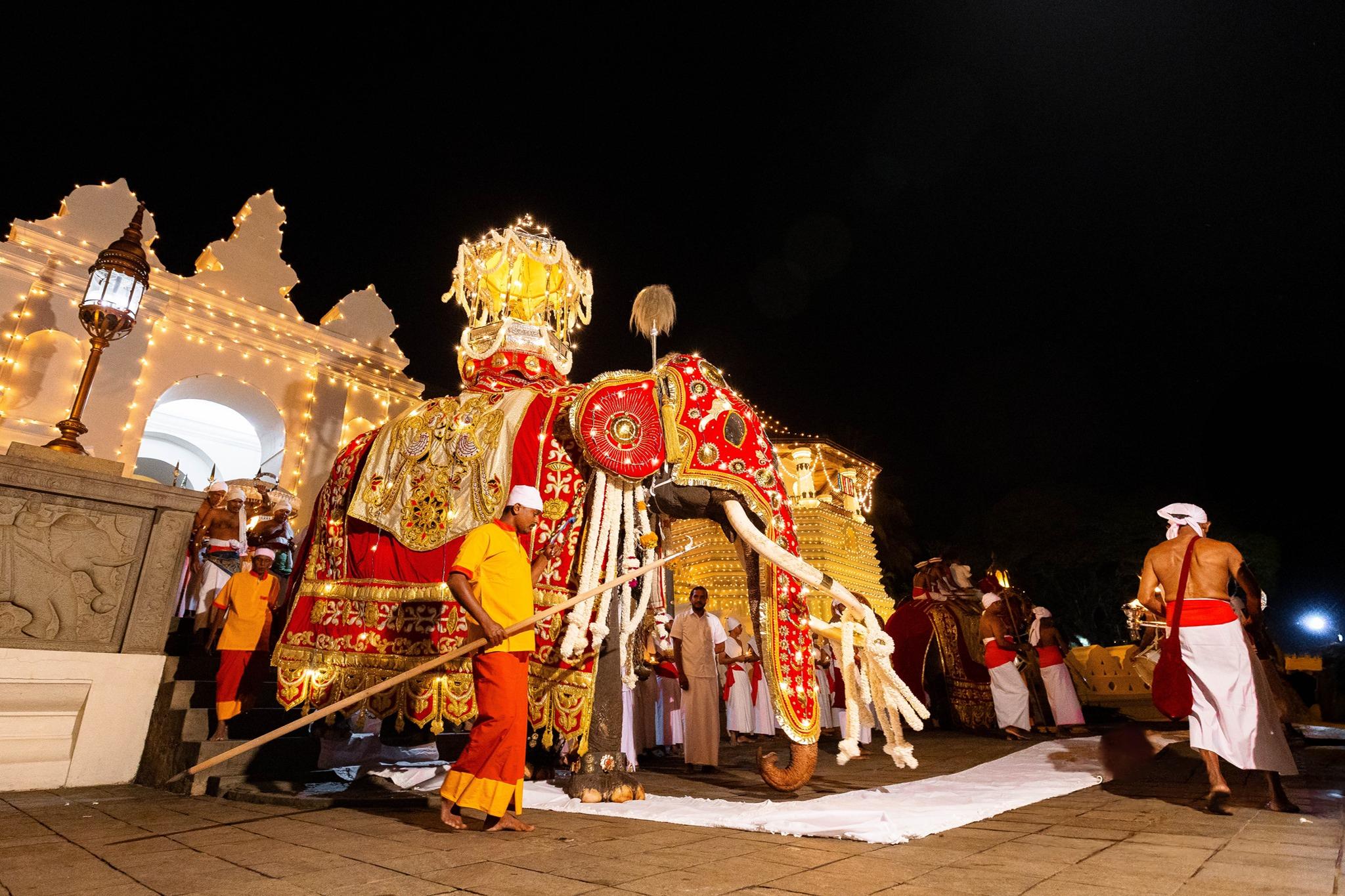 මහනුවර ශ්‍රී දළදා මාලිගාවේ අවසන් රන්දෝලි පෙරහැර අද