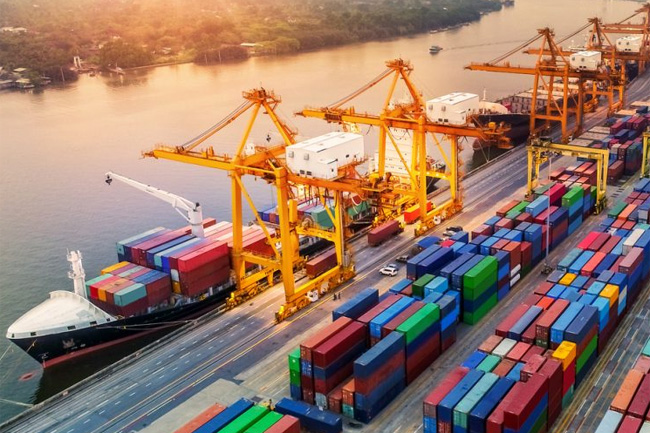 2025 මුල් මාස අට තුළ අපනයන ආදායම ඩොලර් බිලියන 11 පනී