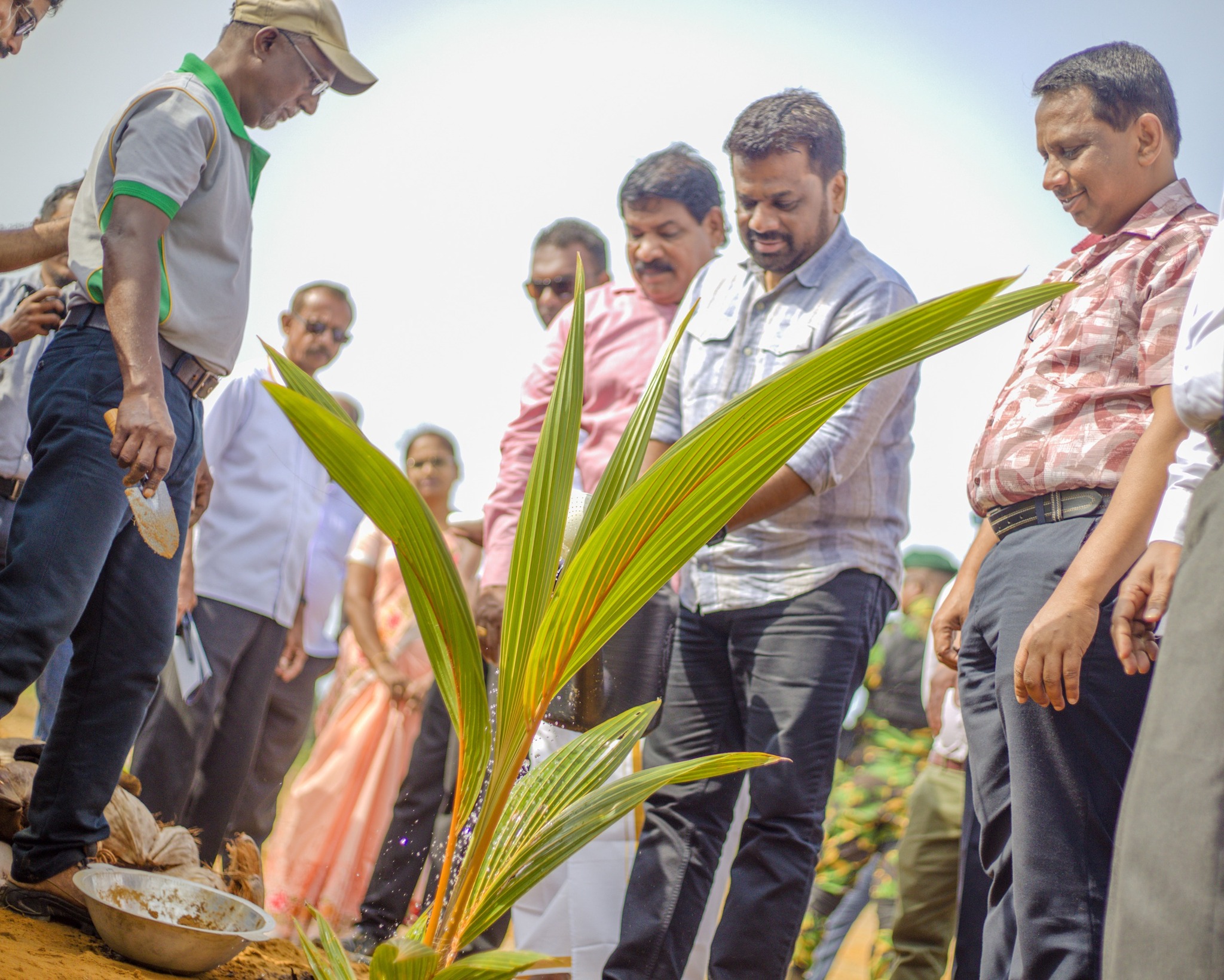 උතුරේ පළමු බීජ පොල් නිෂ්පාදන ඒකකය ආරම්භ කෙරේ