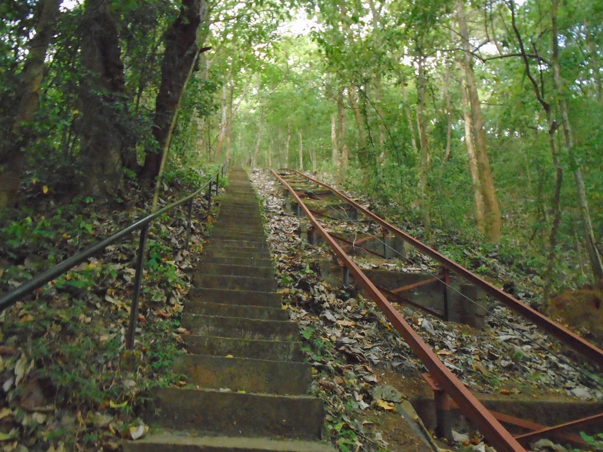 නා උයන ආරණ්ය සේනාසනයේ අනතුරෙන් අපවත් වූ හිමිවරු ගැන තොරතුරු නා උයන ආරණ්ය සේනාසනයේ අනතුරෙන් අපවත් වූ හිමිවරු ගැන තොරතුරු