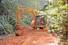 සිංහරාජය හරහා මාර් ග ඉදිකිරීමට ඉඩනොදෙන බව පරිසර ඇමති කියයි