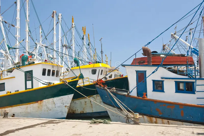 ගාල්ල ධීවර වරායේ හදිසි සෝදිසි මෙහෙයුමක්