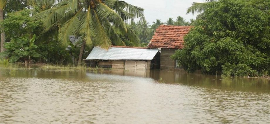 ආපදා තත්ත්වයෙන් මියගිය සංඛ්‍යාව 31 දක්වා ඉහළට