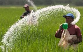 පොහොර සහනාධාර මිල සම්බන්ධයෙන් තීරණයක් පොහොර සහනාධාර මිල සම්බන්ධයෙන් තීරණයක්