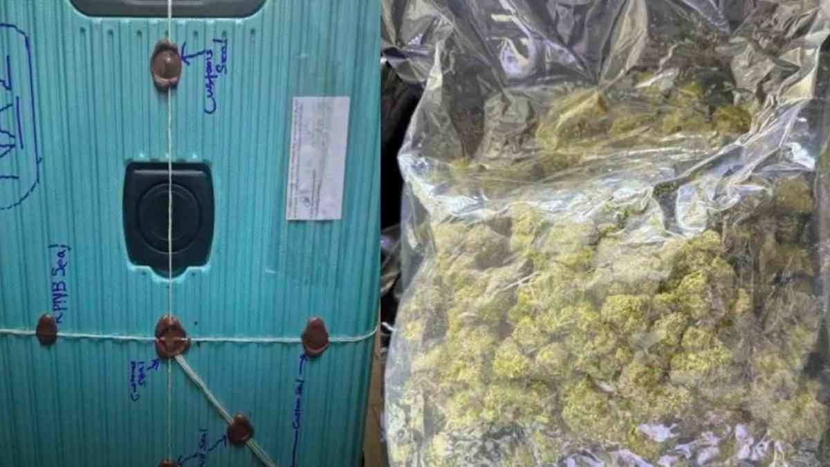 ගුවන් තොටුපළේ අත්හැර දමා ගිය බෑගයක තිබී කුෂ් මත්ද්‍රව්‍ය තොගයක් සොයාගැනේ