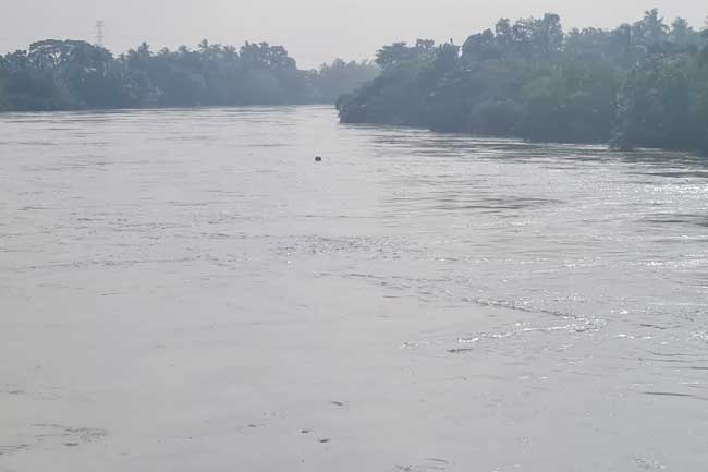 කැලණි ගඟේ ජල මට්ටම ක්‍රමයෙන් පහළට