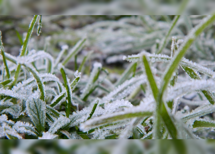 හෙට සිට වියළි කාලගුණයේ වෙනසක් හෙට සිට වියළි කාලගුණයේ වෙනසක්