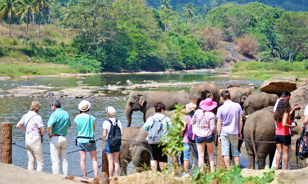 වසරේ මේ දක්වා සංචාරක පැමිණීම 990,000 පනී