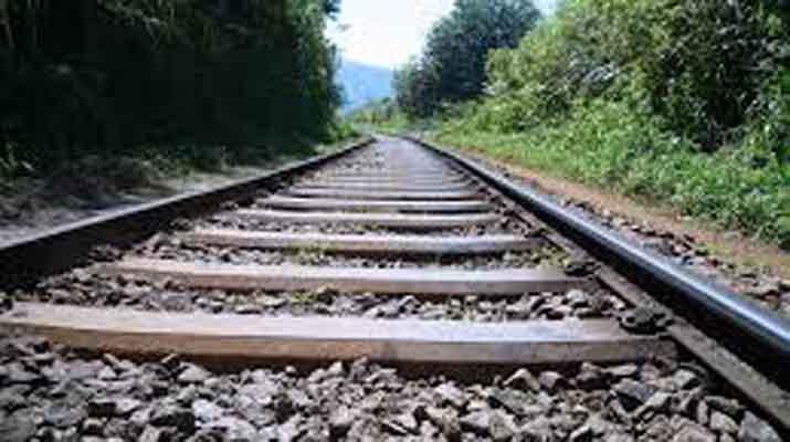 රේල් පීලි දස දහසක් ලබන මස මෙරටට