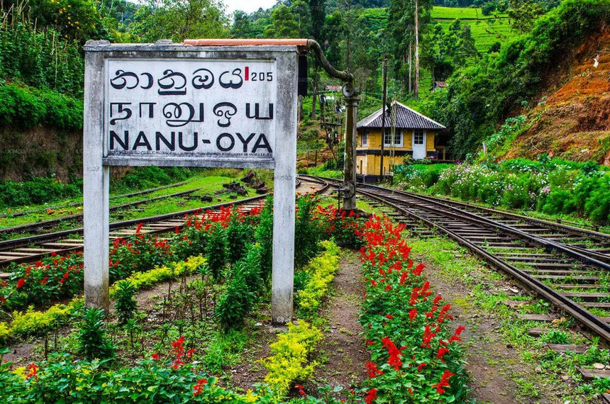 බදුල්ලේ සිට දුම්රිය ධාවනය අද සිට නානුඔය දක්වා