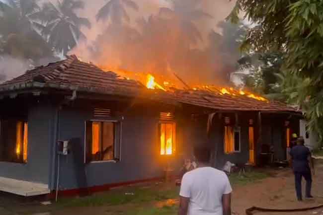 ගිනිබත් වූ සෙනහසේ කැදැල්ල ජිවිත 11 බිලි ගනී